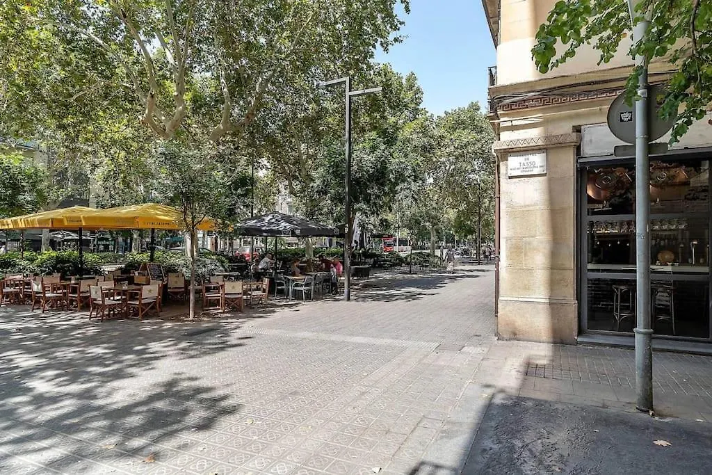 Canela Homes Barcelona Atic